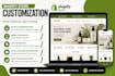 design a professional shopify store or shopify website