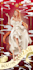 draw character fullbody fullcolor