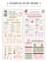design a professional canva infographic