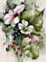 do a botanical illustration