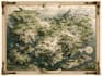 create custom dnd battle maps, rpg maps, fantasy maps and ttrpg map designs
