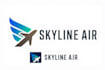 design a professional modern airplane logo