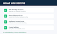 write SEO optimized ai articles and blog posts