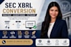 convert audited financial statements into xbrl format for sec filing