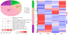 analyze rna seq data using deseq2, edger, go, kegg, and pca