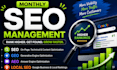 optimize manage monthly seo, geo, aeo, local s eo white hat backlinks