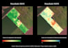 gis analyst I maps, spatial analysis, python automation