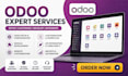 do odoo customization, module development, setup and installation