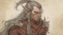 draw your oc and dnd character illustration