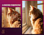 do custom painterly pet portrait