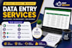 accurate data entry and excel data entry