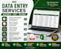 professional data entry and excel services