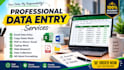 do professional data entry, excel work, copy paste and typing tasks