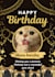 create birthday cards, resumes, invitation cards, thumbnail