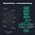 build custom n8n automation workflows for your business