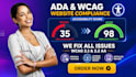 do ada, wcag, wordpress, shopify, section 508, PDF  vpat compliance