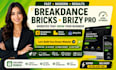 fix or build breakdance builder website, blocksy website builder, bricks builder