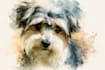 draw watercolor pet portrait