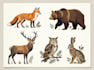 do vector design of characters, animals and people