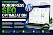 professional wordpress SEO optimization service
