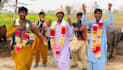 wish happy birthday video