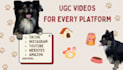 create engaging pet ugc video with my dog