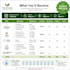 make personalized diet plans