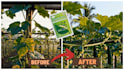 design clickable youtube, facebook and tiktok thumbnails
