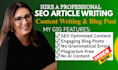 write SEO article writing, blog writing and website content writing