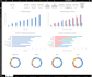 clean and analyse your data with a professional summary