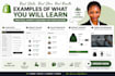 be your personal shopify mentor and coach for beginners