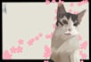 create dreamy painterly digital illustrations