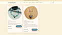 design a jewelry website with online store for your brand