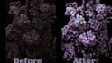 touch up and edit photos with a focus on color grading