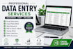 do accurate data entry, excel data entry, copy paste and web research