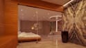 create 3d wellness center, spa, sauna, steam room therapy facility design