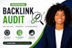 do a professional backlink audit and SEO link profile analysis