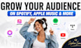 raise your music purchases on itunes, apple music, spotify, tidal youtube