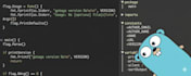 be your go lang developer