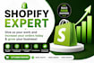 manage shopify store and optimize product listings