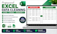 clean and format excel or CSV data professionally