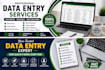 do data entry, copy paste, excel data entry and web research