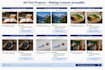 add alt text to images and make your website content accessible wcag
