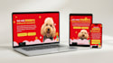 setup your squarespace website design squarespace redesign and development