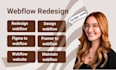 redesign webflow design webflow framer to webflow figma to webflow website