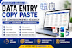 do accurate data entry, copy paste, PDF conversion and web research