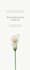create an elegant and classic wedding invitation