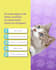 the social media design