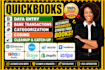 do quickbooks data entry bookkeeping bank reconciliation cleanup