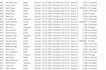 do accurate data entry, data cleaning and remove duplicates